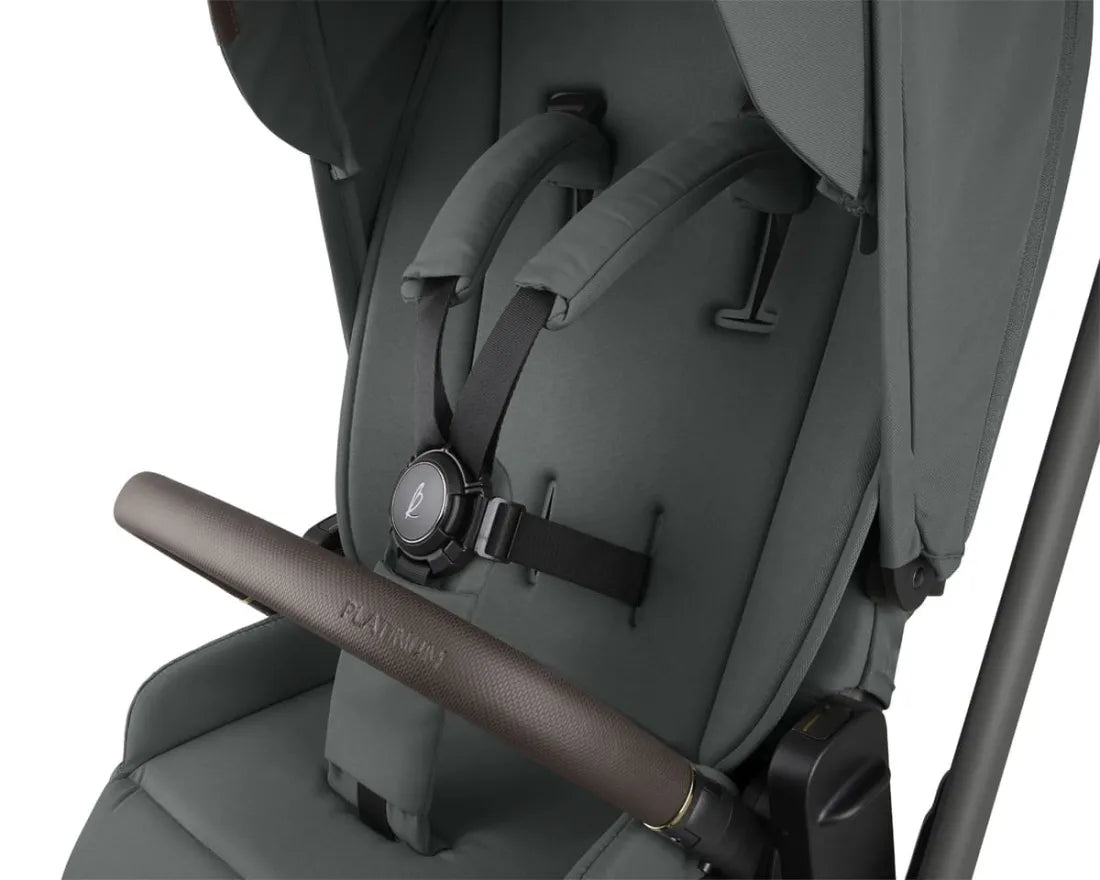 Carro de bebé Goya Platinum kikkaboo Verde