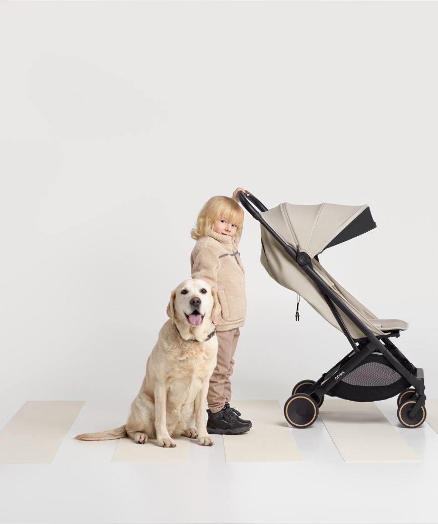 Silla Anex Air-X² Shiro