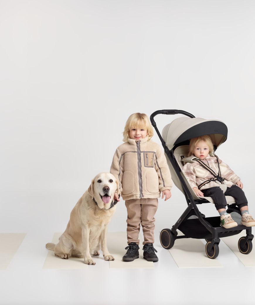 Silla Anex Air-X² Shiro