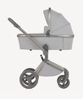Carro de bebé Anex Flo Frossy