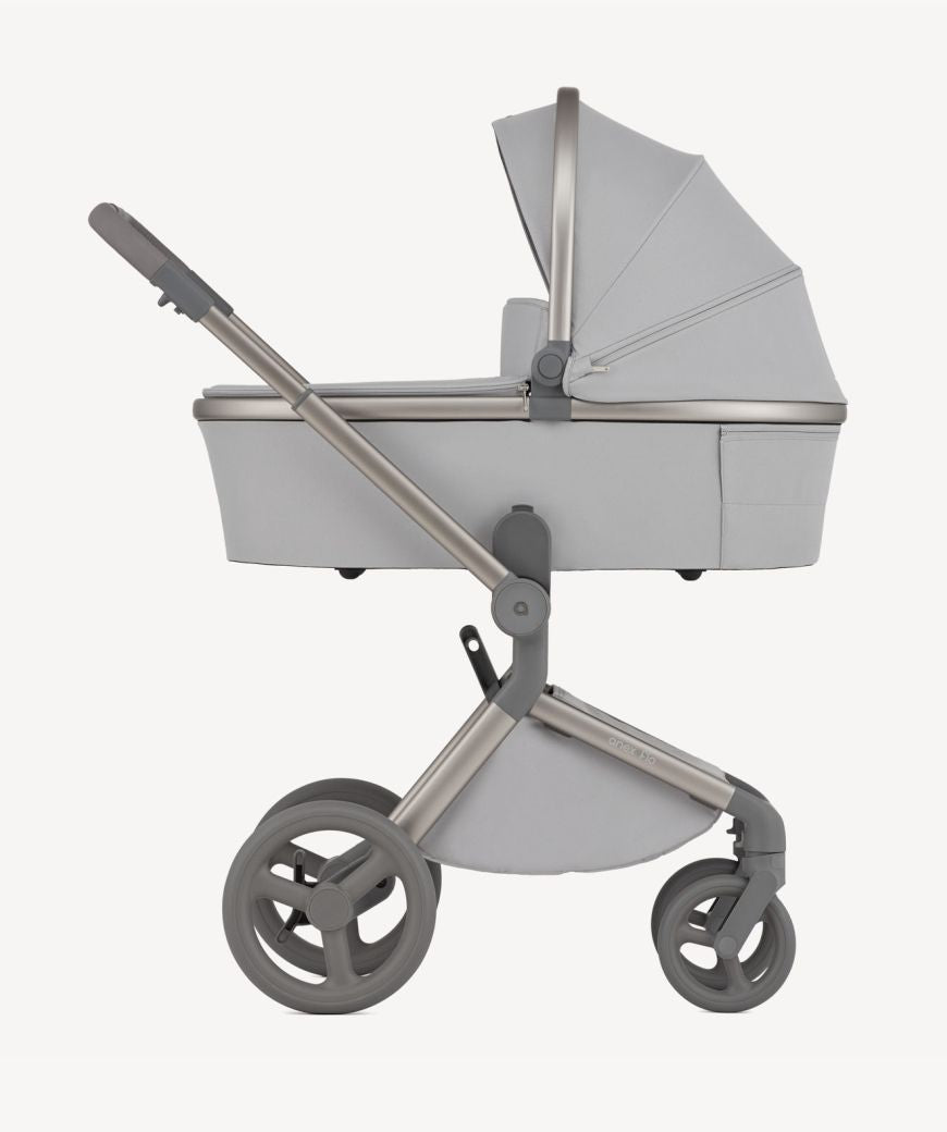 Carro de bebé Anex Flo Frossy