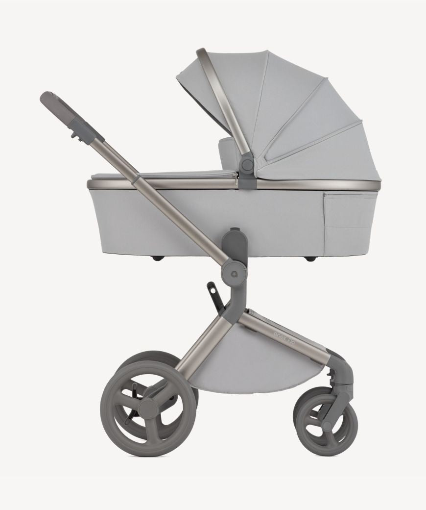 Carro de bebé Anex Flo Frossy