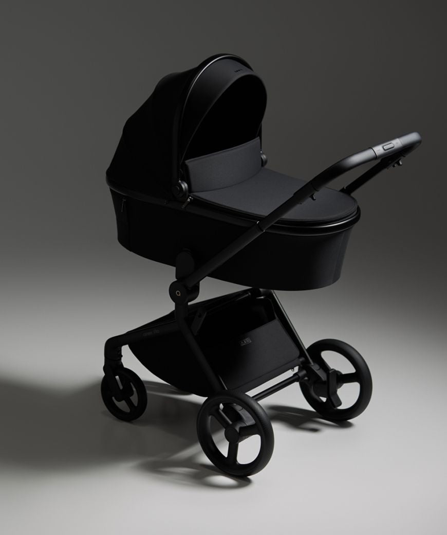 Carro de bebé Anex Flo Lungo