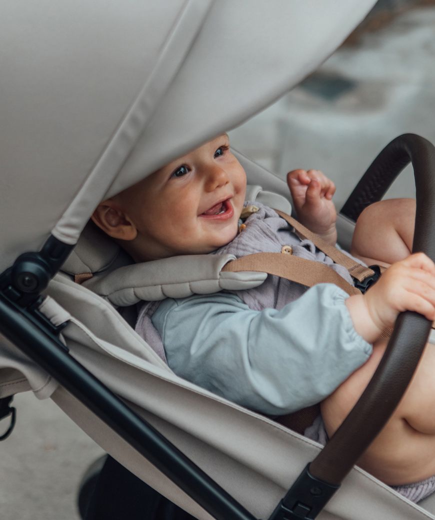 Silla Anex Air-Z plus Vivi