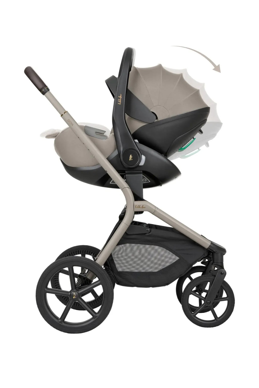 Carro de bebé Goya Platinum kikkaboo Marron