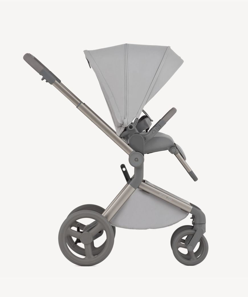 Carro de bebé Anex Flo Frossy